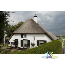 De Haemmaeker Aerdt Coll. P.Snip F00000313